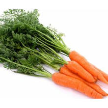 Organic Fresh Carrot from China